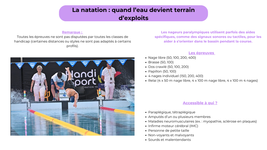 natation natation